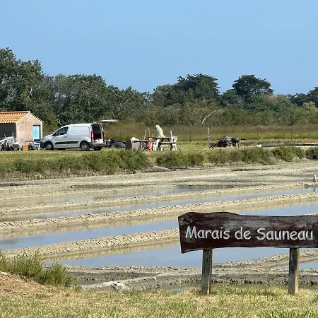 L'etoile Du Morin - New In 2026 *